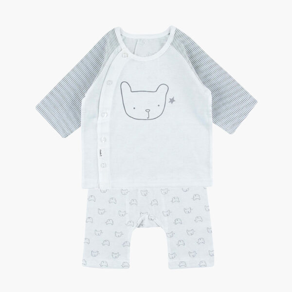 Bear 7 Set